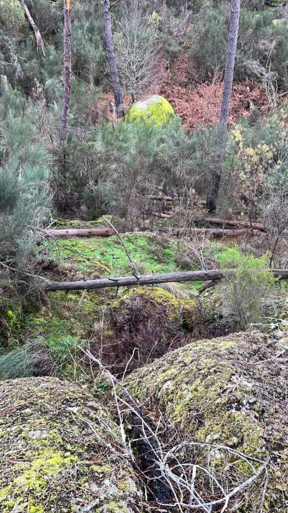 Esta imagem tem um texto alternativo em branco, o nome da imagem é WhatsApp-Image-2026-02-19-at-01.34.09-576x1024.jpeg